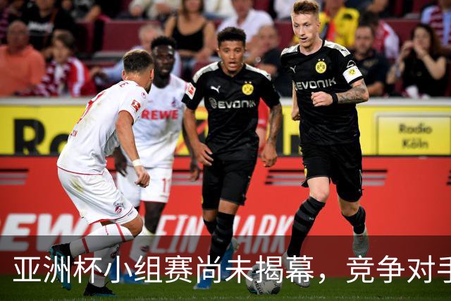 亚洲杯小组赛尚未揭幕，竞争对手退赛助力国足晋级16强传言被辟谣