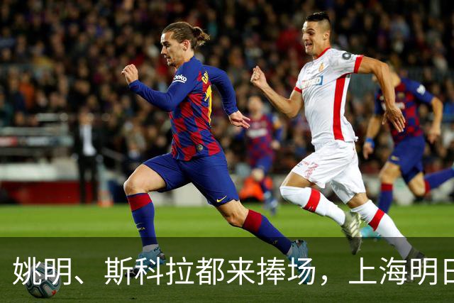姚明、斯科拉都来捧场，上海明日之星篮球争冠赛有何魔力？