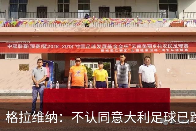 格拉维纳：不认同意大利足球已跌至最低点 对未晋级世界杯失望