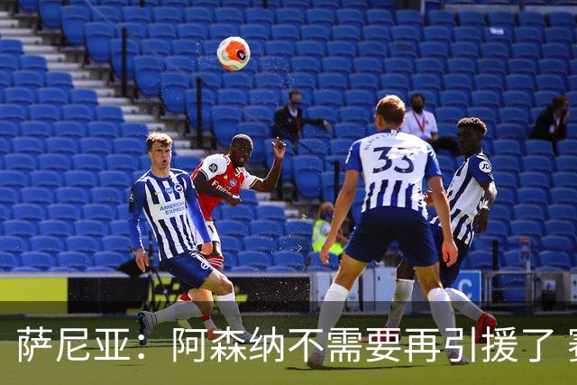 萨尼亚：阿森纳不需要再引援了 赛季最佳球员我选廷伯